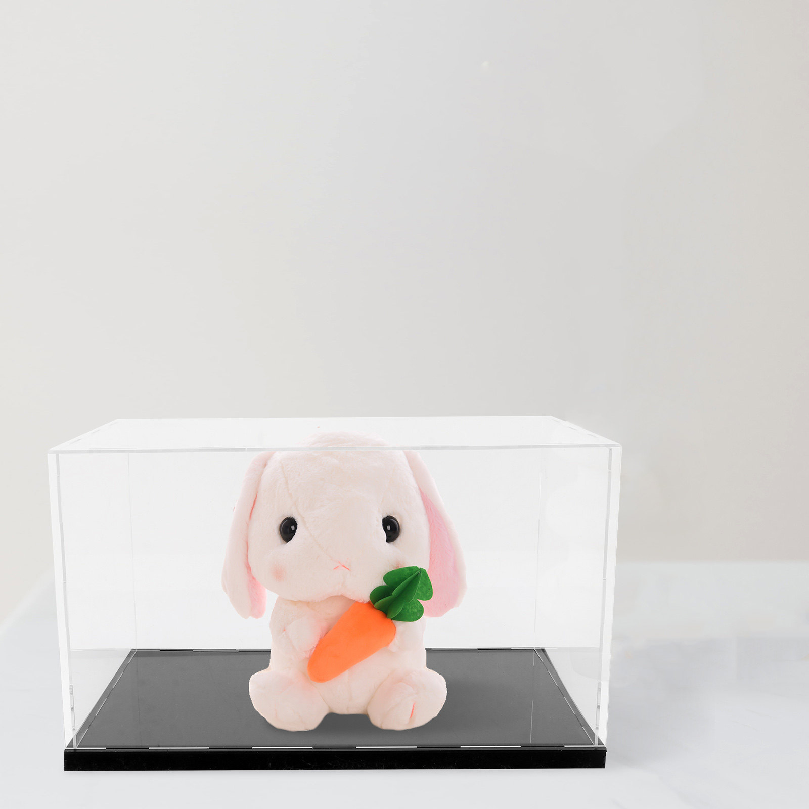 1Pcs Acrylic Display Box Trans - đánh giá và giá Display Case Acrylic